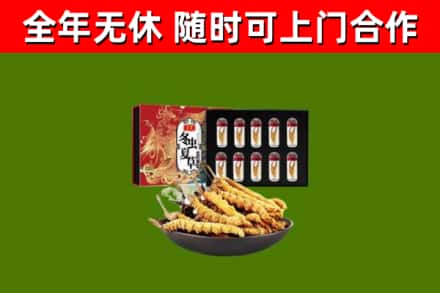 柯城回收冬虫夏草价格